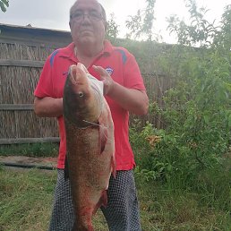 Oleg, , 60 