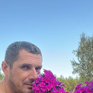 , 41 , 