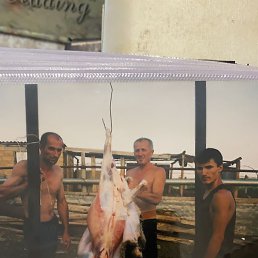 �������, ������, 65 ���