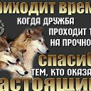 ���� ������, ������, 39 ��� - ��������� 25 ������� 2026 � ������ ���� ����������