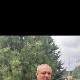 �����, 43 ����, �����������