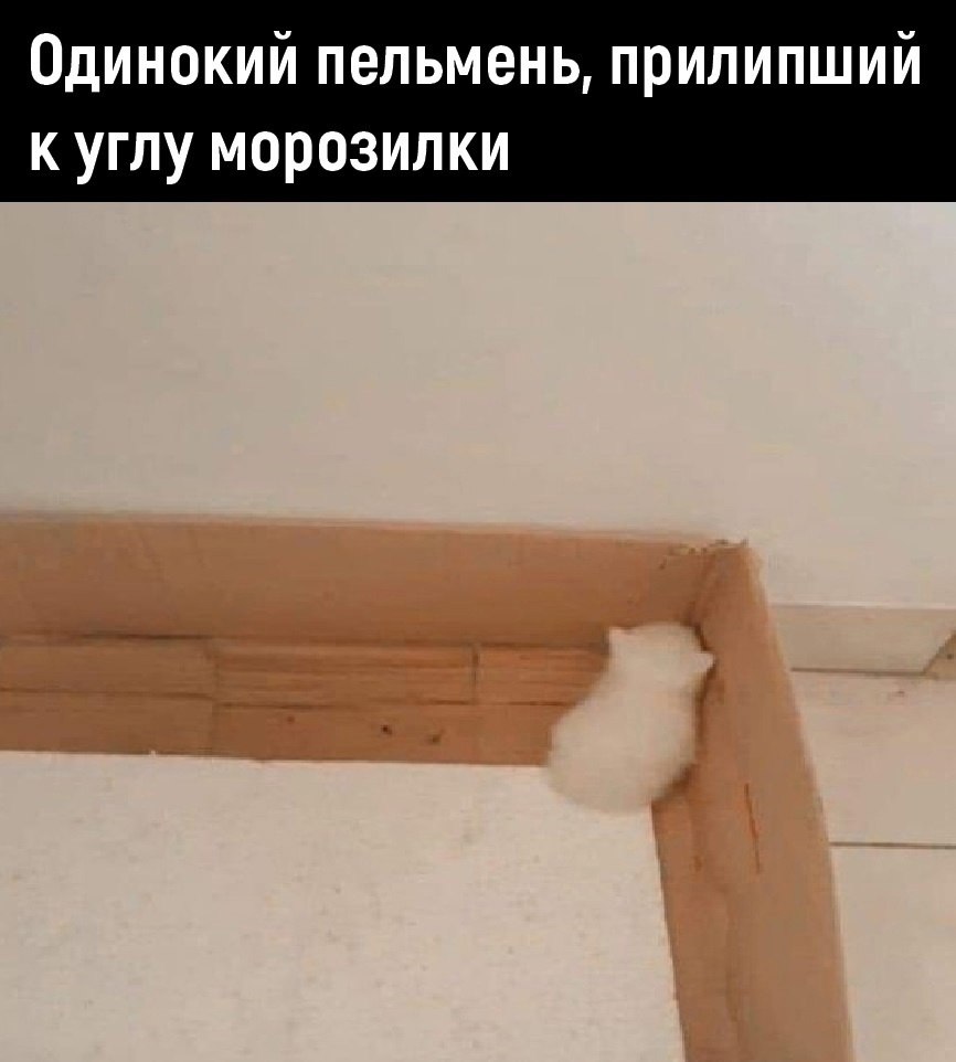  - 29  2025  19:28 - 2