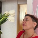 ���� ������, ����������, 46 ��� - ��������� 8 ����� 2026 � ������ ���� ����������