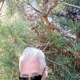  ,  , 63  -  19  2023