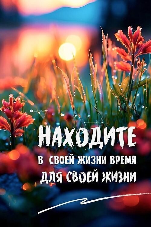   ! - 1  2025  14:38