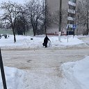 ���� �������, ������, 52 ���� - ��������� 19 ������ 2026 � ������ ���� ����������