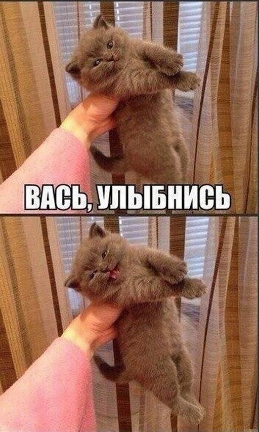 ? ,  ! - 15  2025  16:37