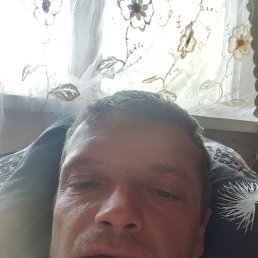 , 37, 