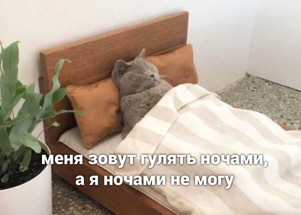  )