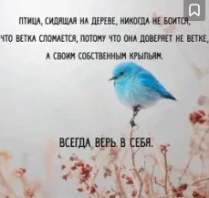   - 25  2025  15:48