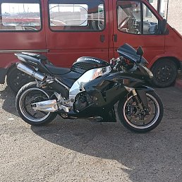 �����, �����, 46 ���