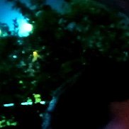 , 21 , 