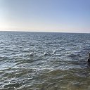 ���� ������, ����, 53 ���� - ��������� 14 ������� 2024