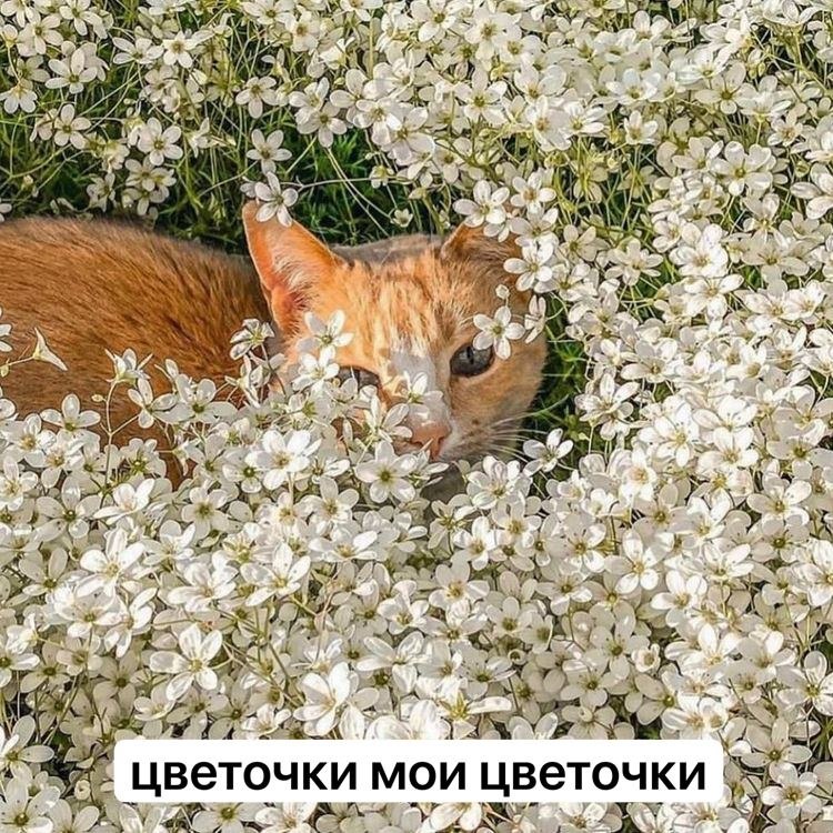    - 10  2024  23:39