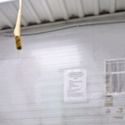 Ali, 28 ���, ������������