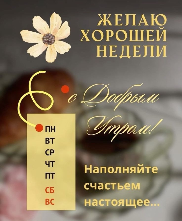   ,    . - 13  2025  23:45