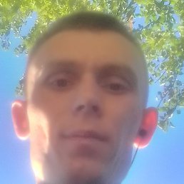 ��������, �����������, 29 ���