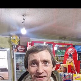 , 37, 