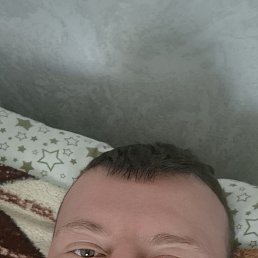 ������, 37 ���, ���������