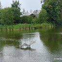  , , 49  -  21  2025   .  ( )