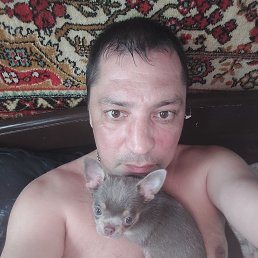 ���� ������, �������, 41 ��� - ��������� 12 ���� 2026