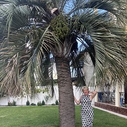 ���� ��������, ���������, 53 ���� - ��������� 8 ������� 2026