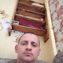 ���������, 41 ���, ������