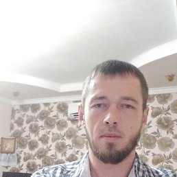 , 33, 