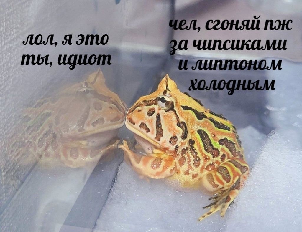    - 11  2024  18:19