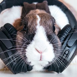 ���� �@����, ������, 45 ��� - ��������� 3 �������� 2025