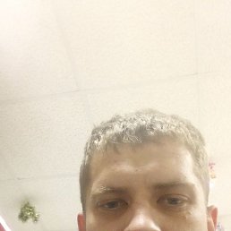, 32, 