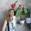 ���� ���������, ���, 44 ���� - ��������� 29 ������� 2023 � ������ ���� ����������