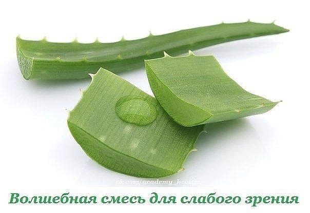 Волшебная смесь академика Филатова ДЛЯ СЛАБОГО ЗРЕНИЯ.100г сока алоэ, 500 г измельченных ядер ...