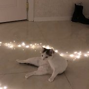 Alya, 18 ���, ������