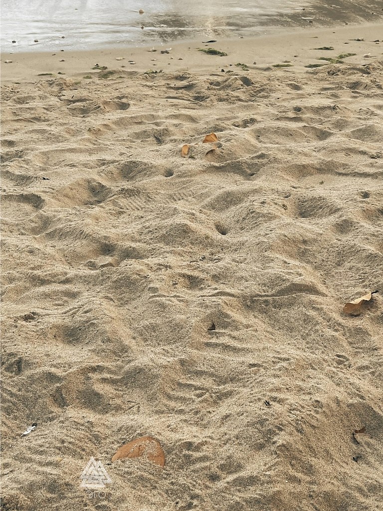    ,  ,     , .   