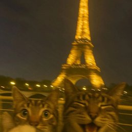 ���������, ������, 19 ���