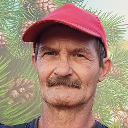 ���� ������, ������, 61 ���