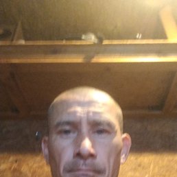  , 40, 
