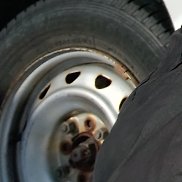 �������, 47 ���, ������