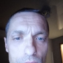 , 41, 