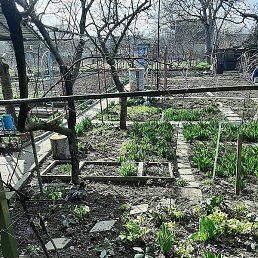 ����, ������������