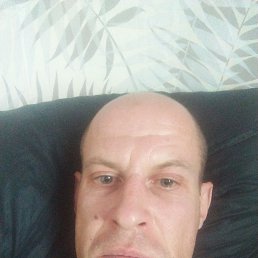 , 37, 