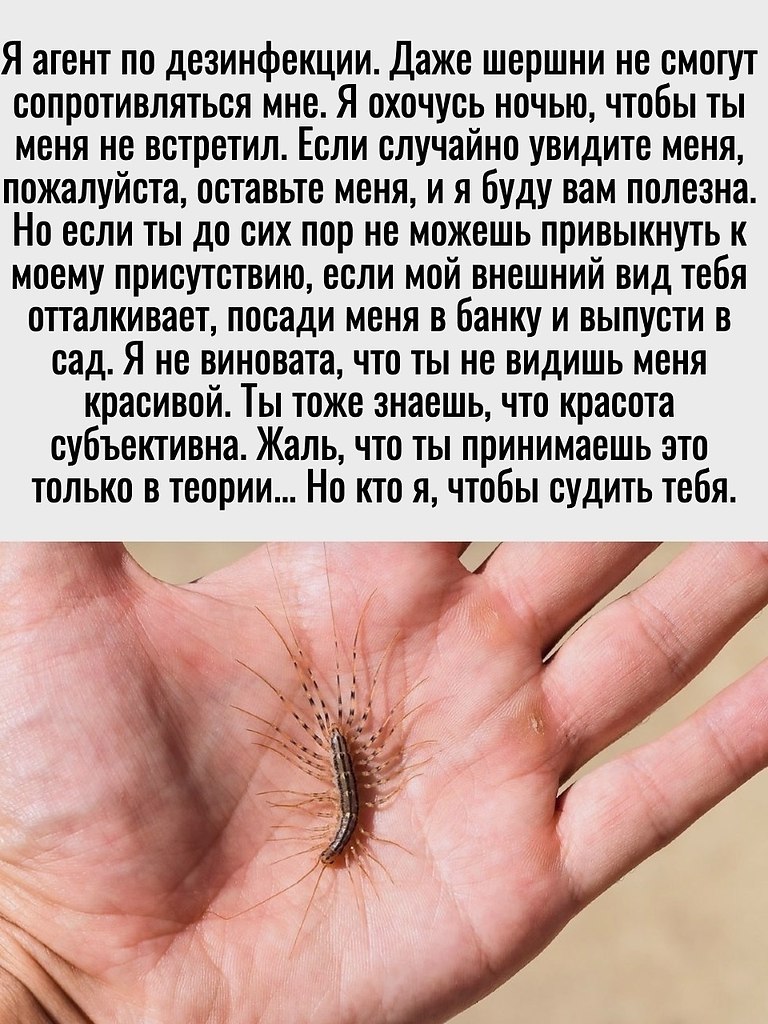 ,      !      , ... - 3