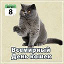 ���� �����, �����-���������, 75 ��� - ��������� 8 ������� 2026 � ������ ������ ��������