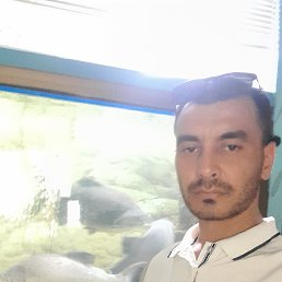 , 33, 