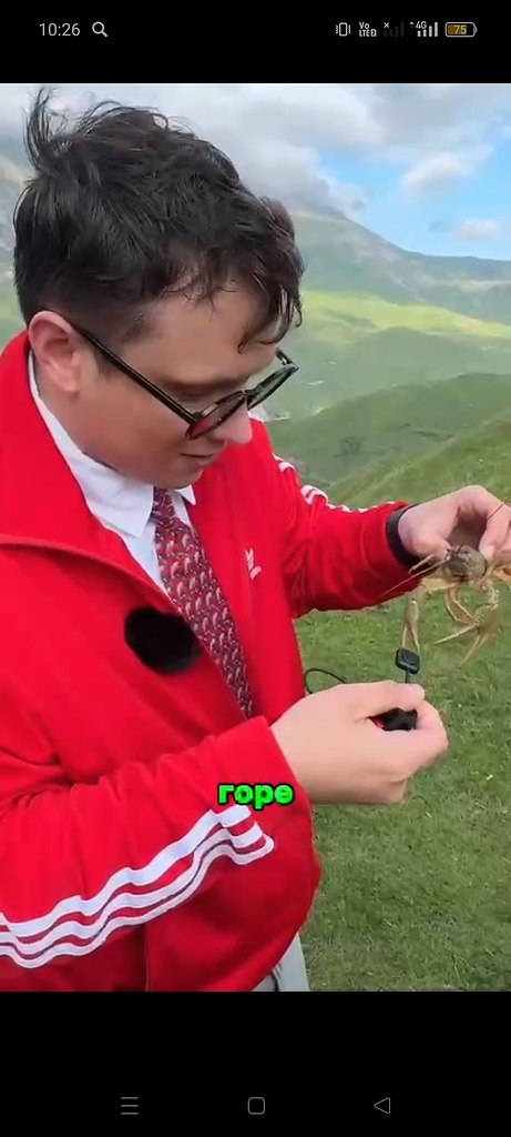      .  ,      ... - 2