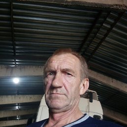 , 54, 