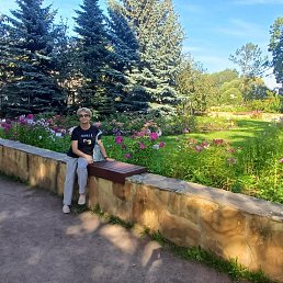 ���� �������, �����-��������� - ��������� 29 ������ 2025