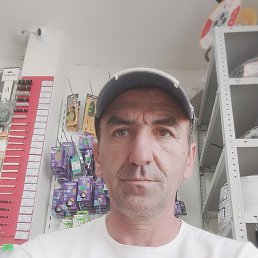  , 50, 