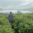 ���� ����, ������� - ��������� 6 ������ 2024 � ������ ���� ����������
